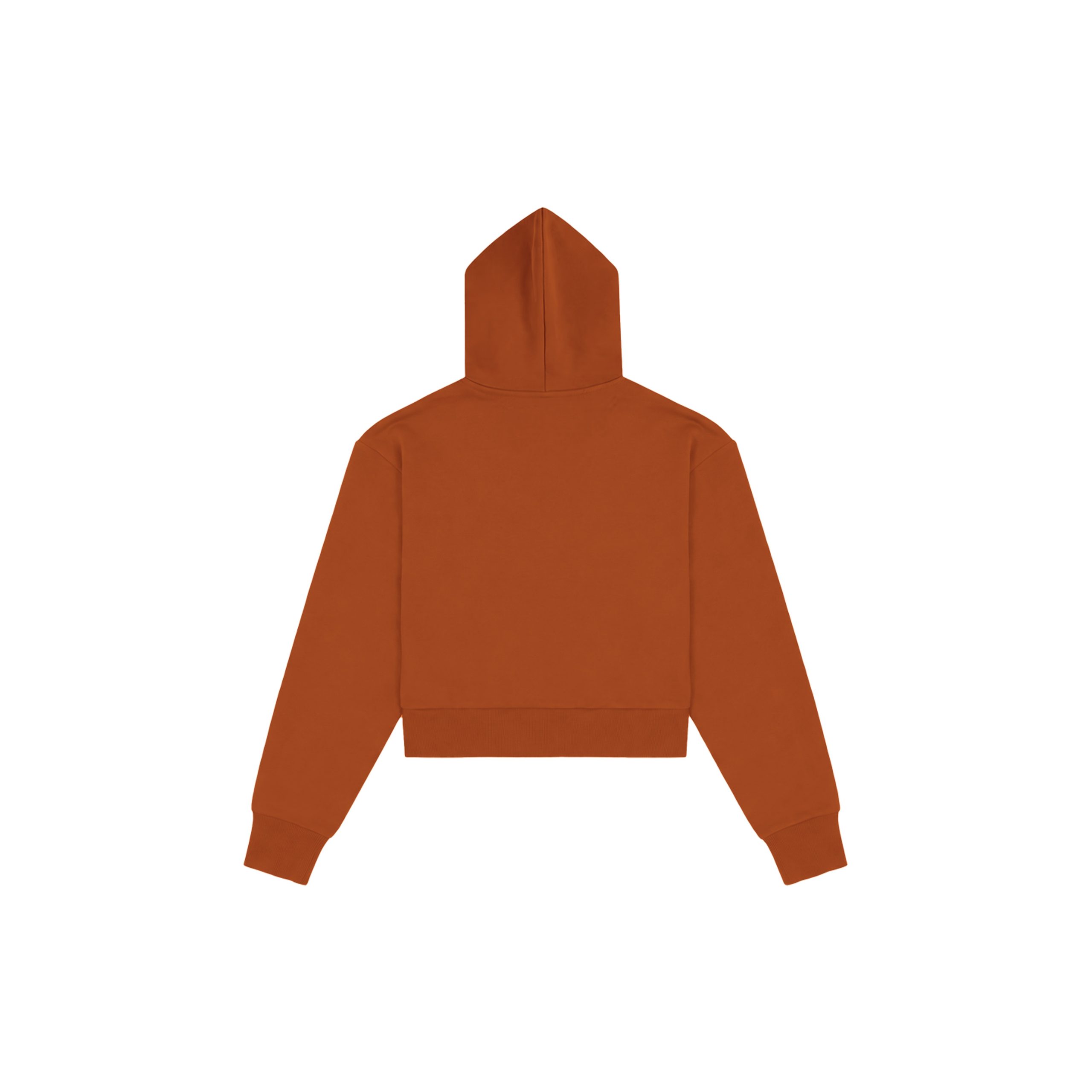 Becoming Her Terracotta hoodie back view