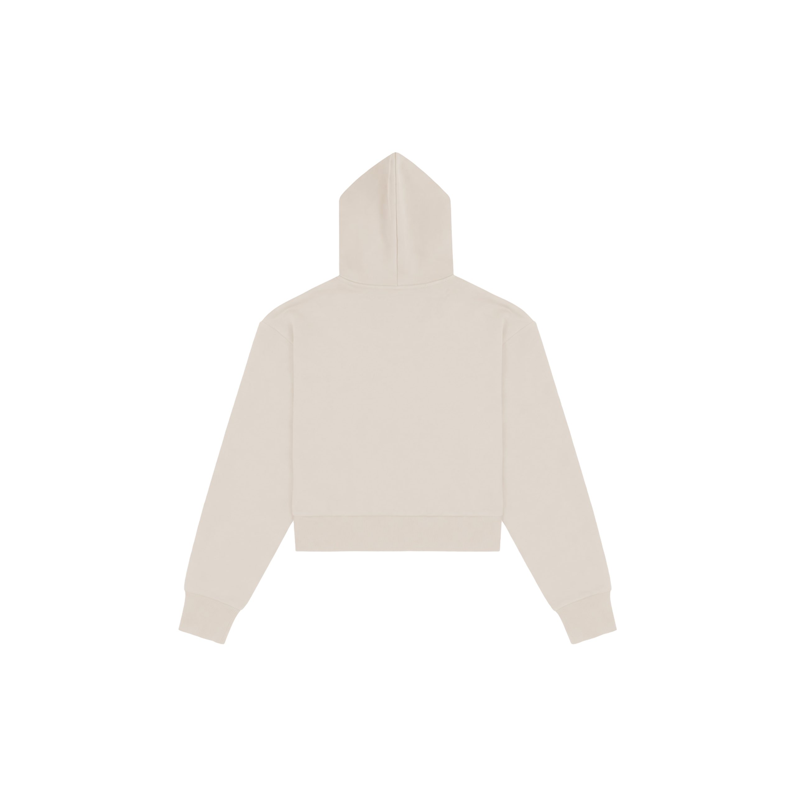 Healing In Progress Cream hoodie back view