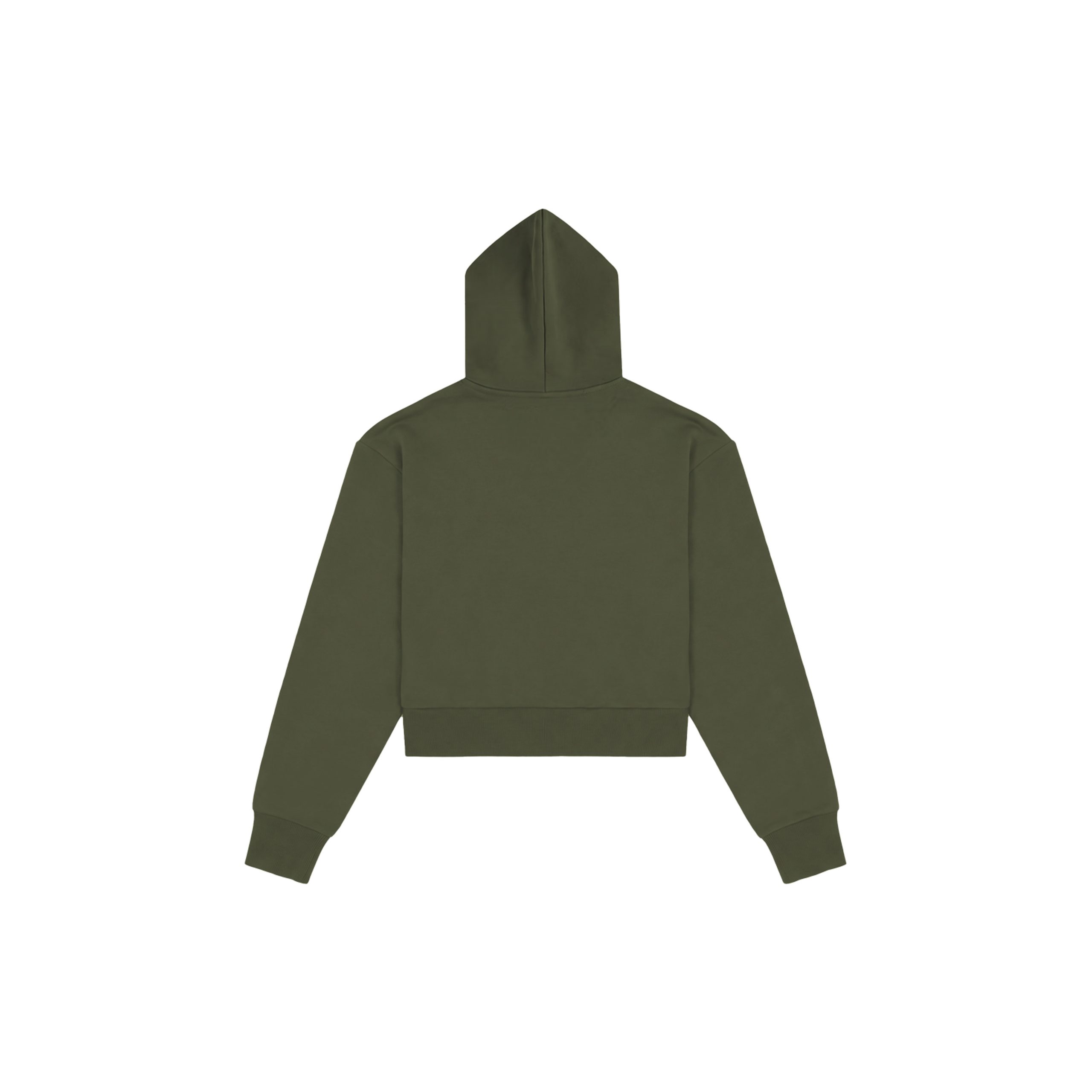 Healing In Progress Forest Green hoodie back view