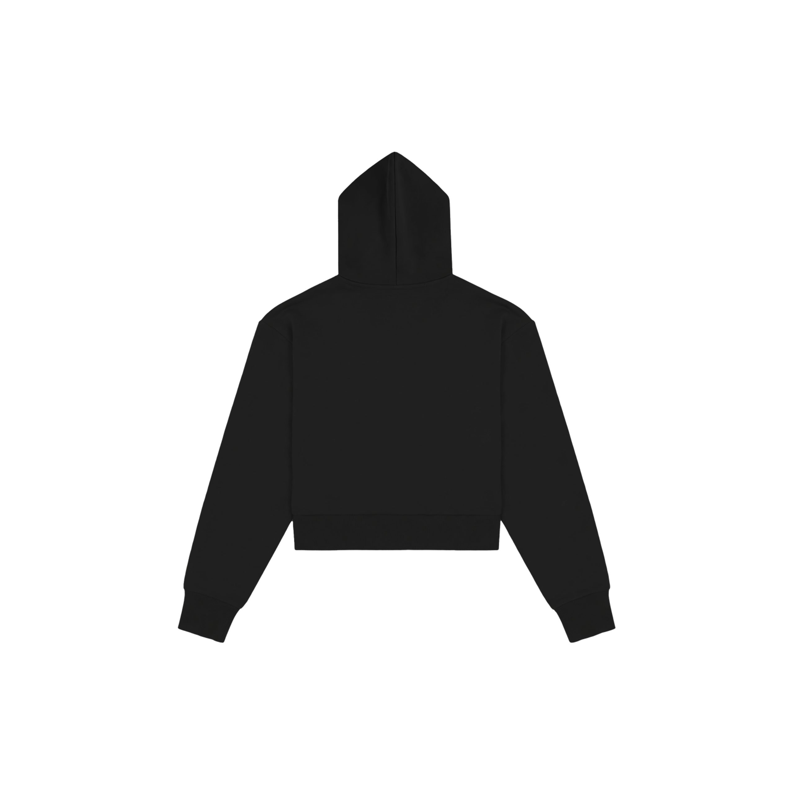 Healing In Progress Reclaim Black hoodie back view