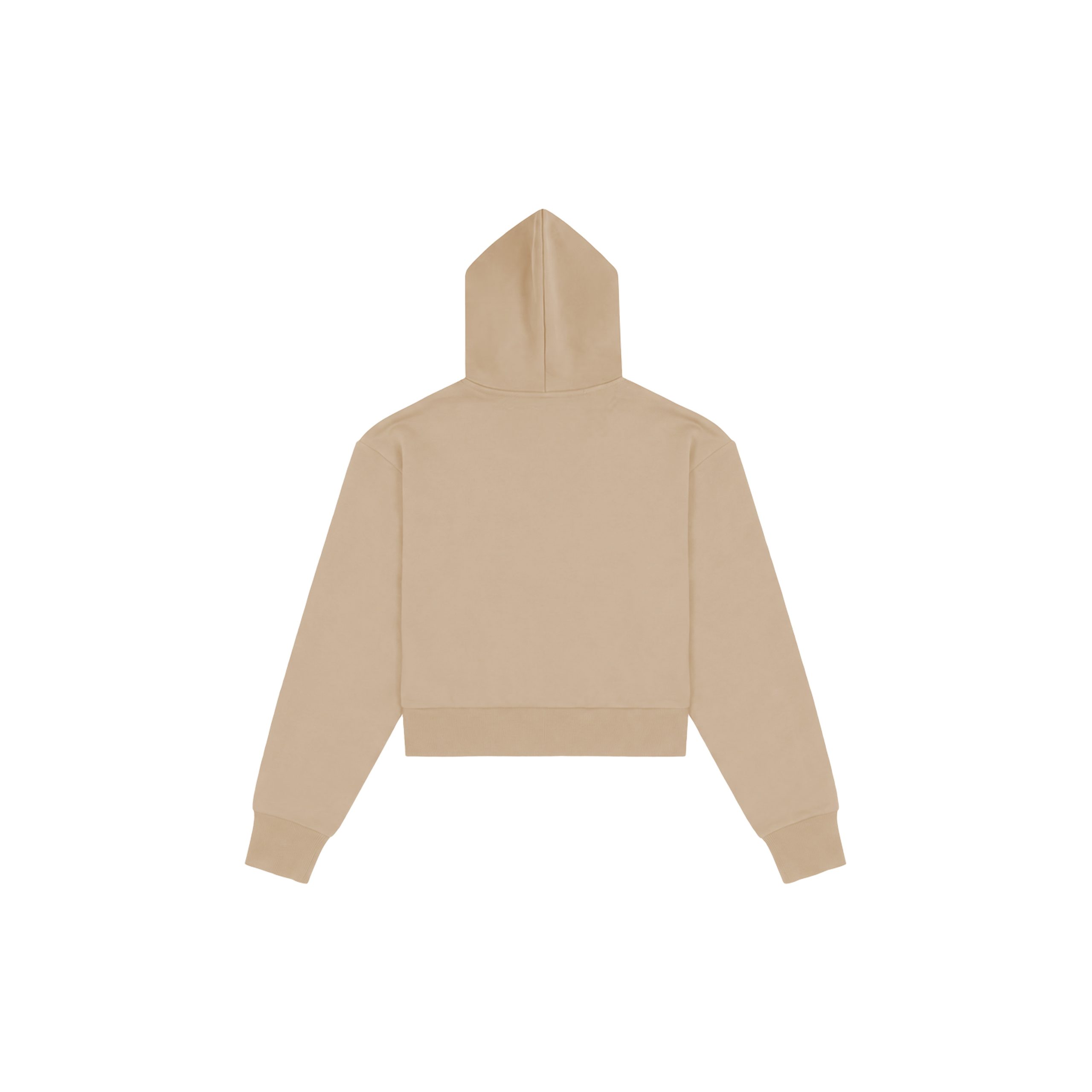 Healing In Progress Sand hoodie back view