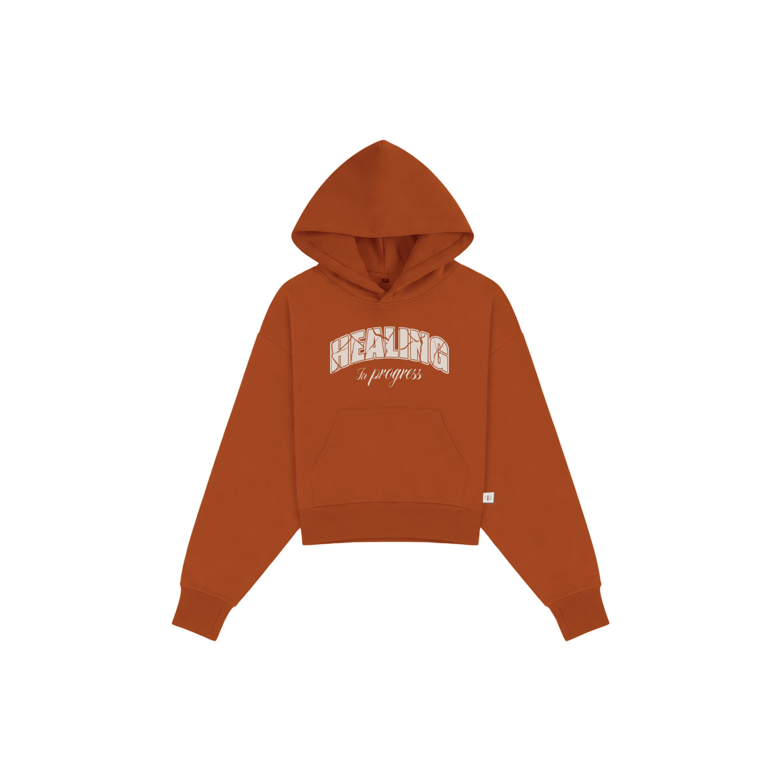 Healing In Progress Terracotta graphic hoodie front view