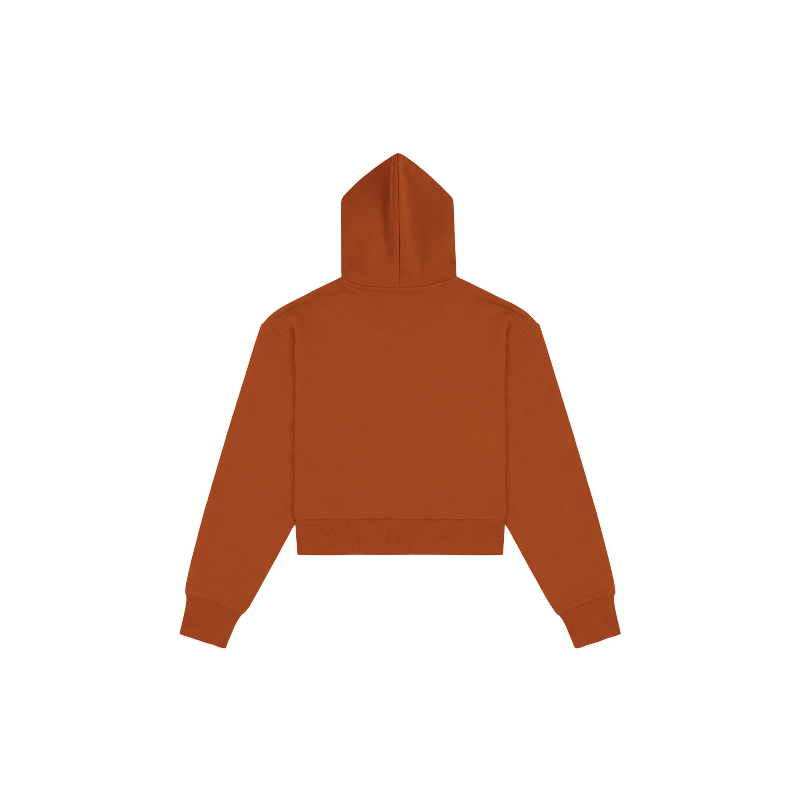 Healing In Progress Terracotta hoodie back view