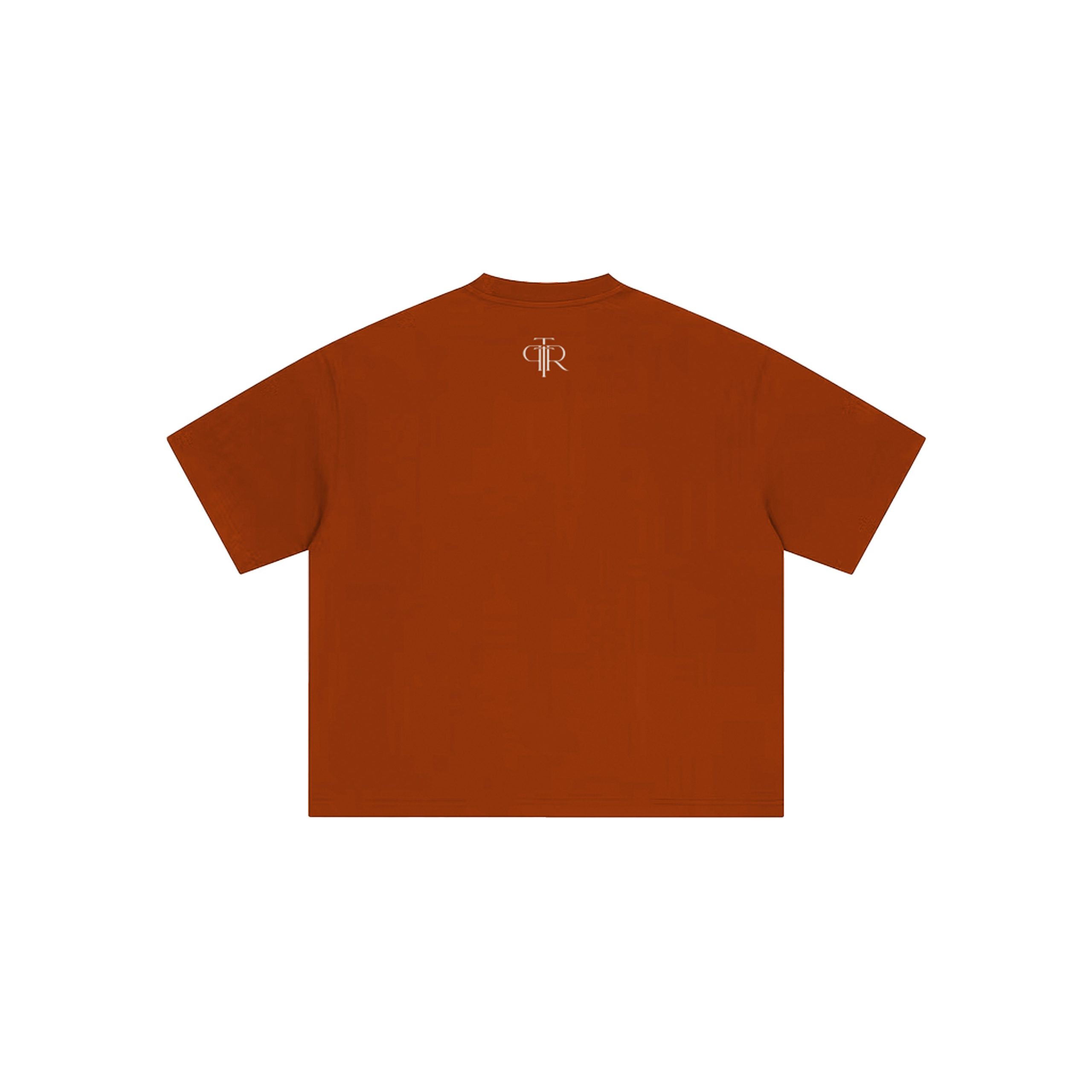 Healing In Progress Terracotta t-shirt back with The Power to Reclaim logo